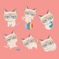 Cute grumpy cat. Royalty Free Stock Photo