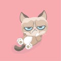 Cute grumpy cat.