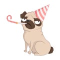 Cute grumpy pug dog with birthday cap and holiday whistle. Vector hand drawn illustration in cartoons style.