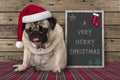 Cute grumpy pug puppy dog with red santa hat sitting next to blackboard sign with text very merry Christmas, on wooden background Royalty Free Stock Photo
