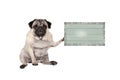 Cute grumpy pug puppy dog, sitting down, holding weathered vintage green wooden sign board