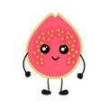 Cute guava slice illustration