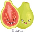Cute guava sticker kawaii character icon vector design. Adorable, cute charming cheerful face