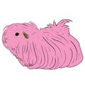 Cute Guinea Pig or Guineapig Pet Cartoon Illustration in Vector Royalty Free Stock Photo