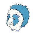 Cute Guinea Pig or Guineapig Pet Cartoon Illustration in Vector