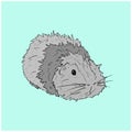 Cute Guinea Pig or Guineapig Pet Cartoon Illustration in Vector