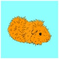 Cute Guinea Pig or Guineapig Pet Cartoon Illustration in Vector Royalty Free Stock Photo