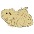 Cute Guinea Pig or Guineapig Pet Cartoon Illustration in Vector Royalty Free Stock Photo