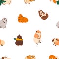 Cute guinea pig, seamless pattern. Funny cavy, hamster, baby animals, endless background, repeating print for textile