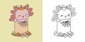 Cute Halloween Axolotl Clipart for Coloring Page and Illustration. Happy Art Halloween Salamander.