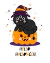 Cute halloween black cat with spider on pumpkin