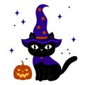 Cute Halloween cat. Black cat in witch hat with candies. Scary black cat Royalty Free Stock Photo