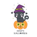 Cute Halloween cat vector with pumpkin cartoon jack o lantern Royalty Free Stock Photo