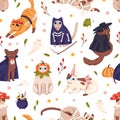 Cute Halloween pattern with funny cats in dracula, vampire costumes. Seamless background with kitty repeating print Royalty Free Stock Photo