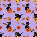 Cute Halloween pumpkin with black cat on purple background. Royalty Free Stock Photo