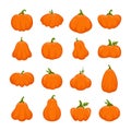 Cute Halloween pumpkins. Fall vegetables. Gourd crop shape silhouettes set. Green food and fruit drawing. Orange holiday