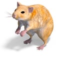 Cute hamster Royalty Free Stock Photo