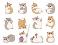 Cute hamster. Cartoon pet character with funny smile face. Mouse standing and running. Funny animal sitting front view
