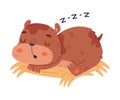 Cute Hamster Character with Stout Body Lying on Hay and Sleeping Vector Illustration