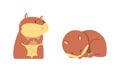 Cute Hamster Character with Stout Body Standing and Cuddling Vector Set