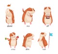 Cute hamster demonstrating English language prepositions of place set. Above, pace, off, versus, afore words