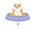 Cute hamster demonstrating English preposition of place by sitting in bowl with food. Funny animal and inscription