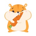 Cute Hamster Eating Carrot, Adorable Funny Pet Animal Character Cartoon Vector Illustration Royalty Free Stock Photo