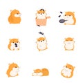 Cute Hamster Eating Seeds Set, Adorable Funny Pet Animal Characters Cartoon Vector Illustration Royalty Free Stock Photo