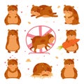 Cute hamster in everyday activities set. Funny brown pet rodent eating, sleeping and running in wheel cartoon vector