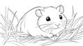 Hamster Outline Drawing, Line Art Pet Rodent, Animal Royalty Free Stock Photo