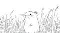 Hamster Line Art, Cute Pet Animal in Grass Royalty Free Stock Photo