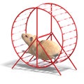 Cute hamster in a hamster wheel Royalty Free Stock Photo