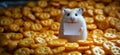 Cute hamster holding blank card surrounded by golden crackers in playful setting Royalty Free Stock Photo