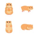 Cute hamster icons set cartoon . Animal rodent