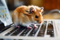 Cute hamster on laptop keyboard