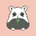 Cute Hamster Panda Eating Bambo Royalty Free Stock Photo