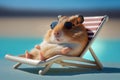 Cute hamster relaxing on a sun lounger near a pool. Generative ai