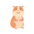Cute hamster, vector illustration on white background