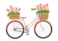 Cute spring bicycle with flowers in basket and crate
