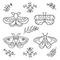 Cute hand drawn butterflies. Flower butterflies, moth wings and spring colorful flying insects. Butterfly flying Royalty Free Stock Photo