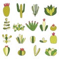 Cute hand drawn doodle cactus, succulent collection