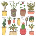 Cute hand drawn doodle house plants collection