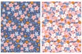 Cute Hand Drawn Floral Vector Patterns. Pastel Pink and White Flowers on a Blue and Pink Background. Royalty Free Stock Photo