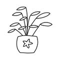 Cute hand drawn flower in pot. Single doodle icon element. Isolated on white background. Vector stock illustration