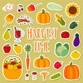 Cute hand drawn harvest set. Decoration of fall season. Royalty Free Stock Photo