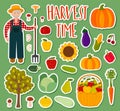 Cute hand drawn harvest set. Decoration of fall season. Royalty Free Stock Photo