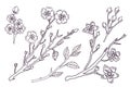 Cute hand drawn isolated sakura branch set