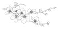 Cute hand drawn isolated sakura branch set 2.