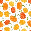 Cute hand drawn pumpkin horizontal seamless pattern, hand drawn pumpkins - great as Thanksgiving background, textiles, banners, Royalty Free Stock Photo