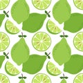 Cute hand drawn seamless pattern with lime citrus fruit and slices isolated on white background Royalty Free Stock Photo